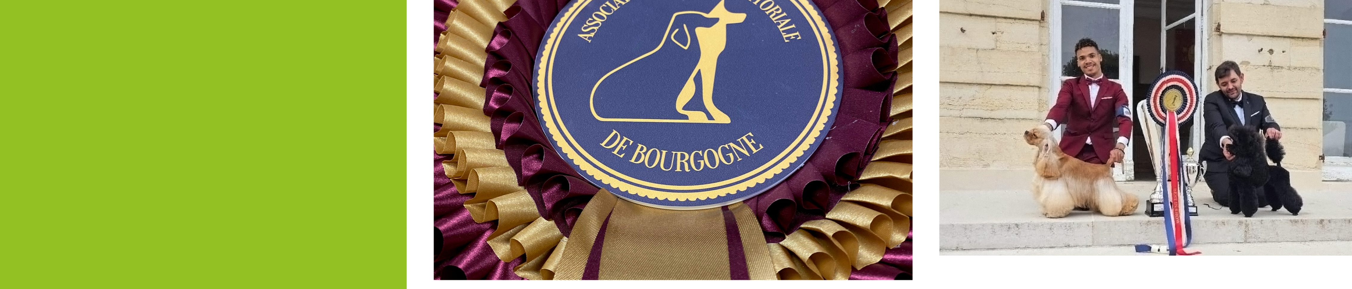 la récompense qui vous ressemble